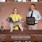 Cristyn Zloza and Quinn 3rd in Mixed Bred with Poodle in Bedlington Clip