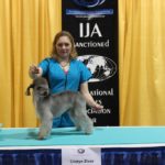 Green Bay, WI. IJA Grooming Show – March 2017
