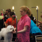 All-American Grooming Show Photo