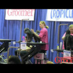 Grooming Competition Photo