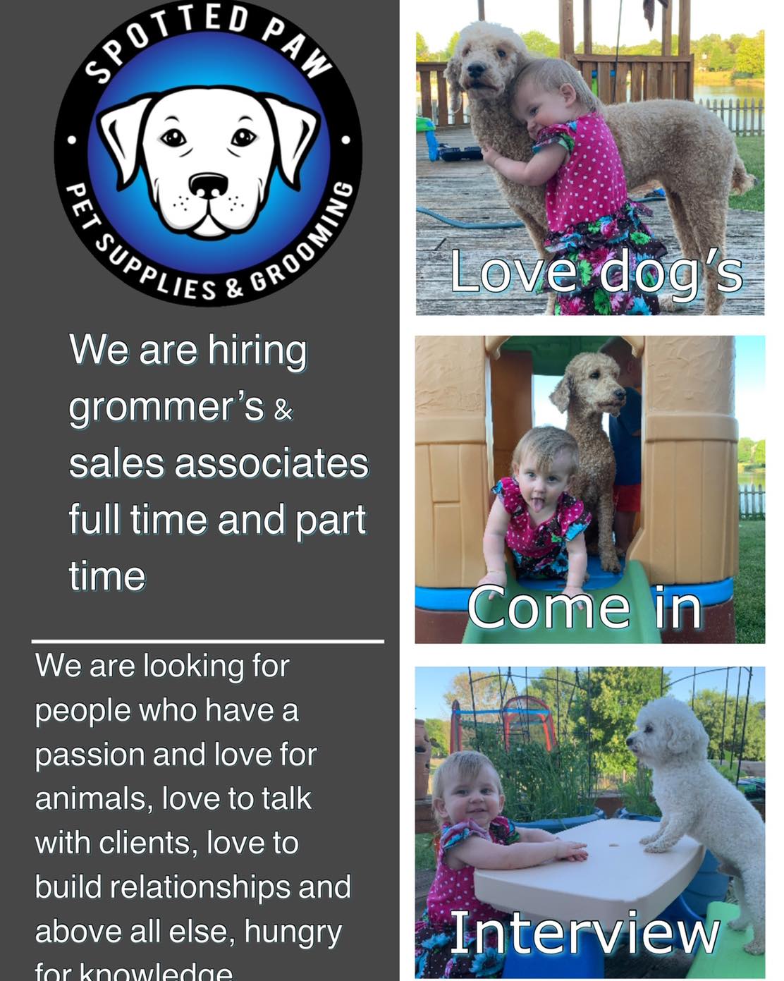 We are hiring_Love Dogs
